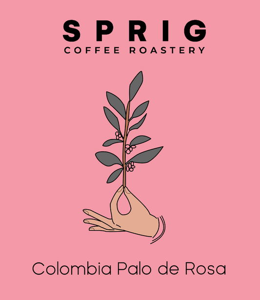 colombia palo de rosa pink bourbon washed