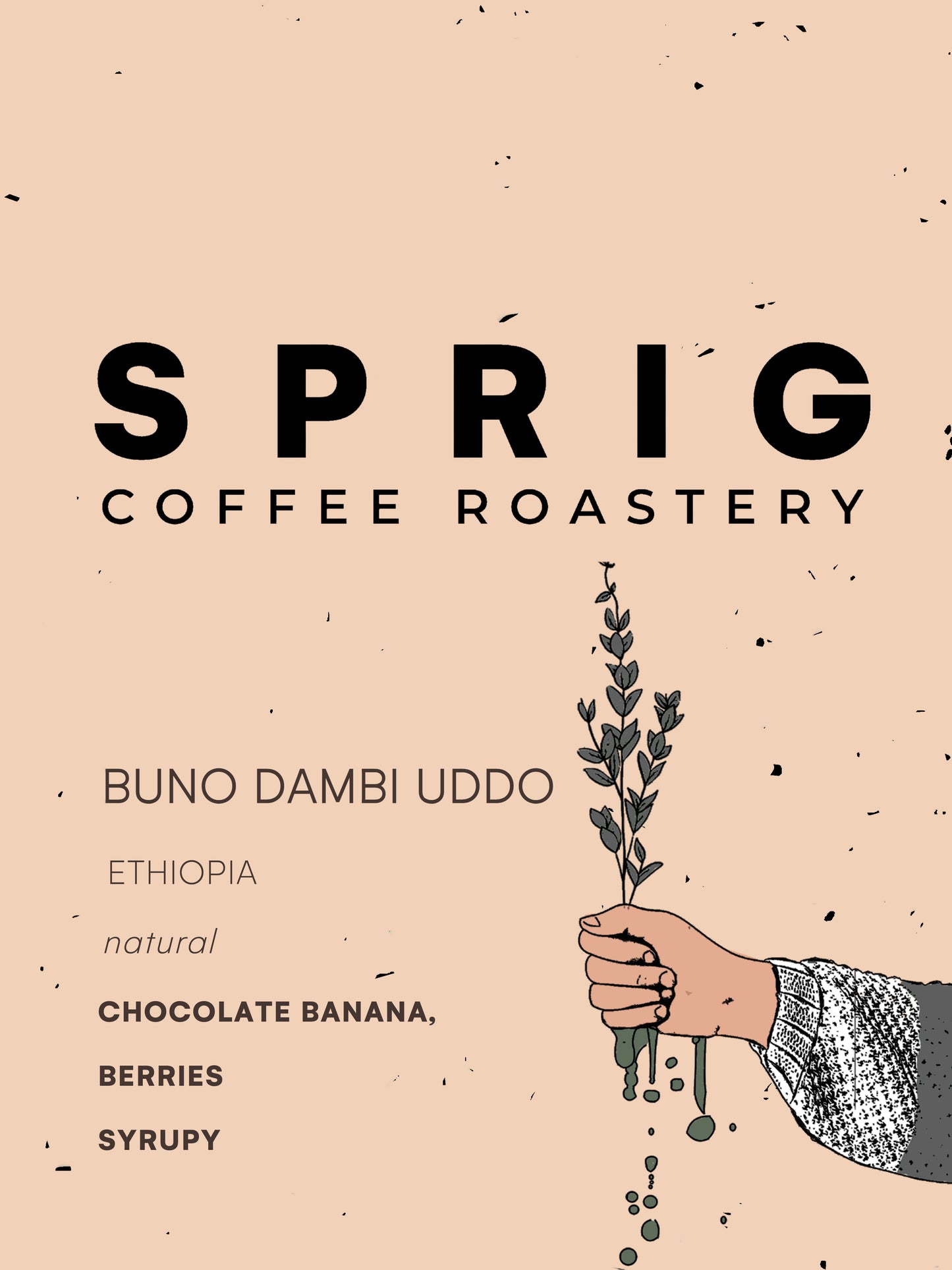 ethiopia buno dambi uddo natural