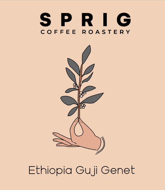 ethiopia guji genet natural