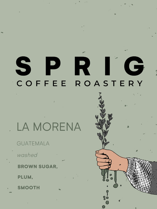 guatemala la morena washed